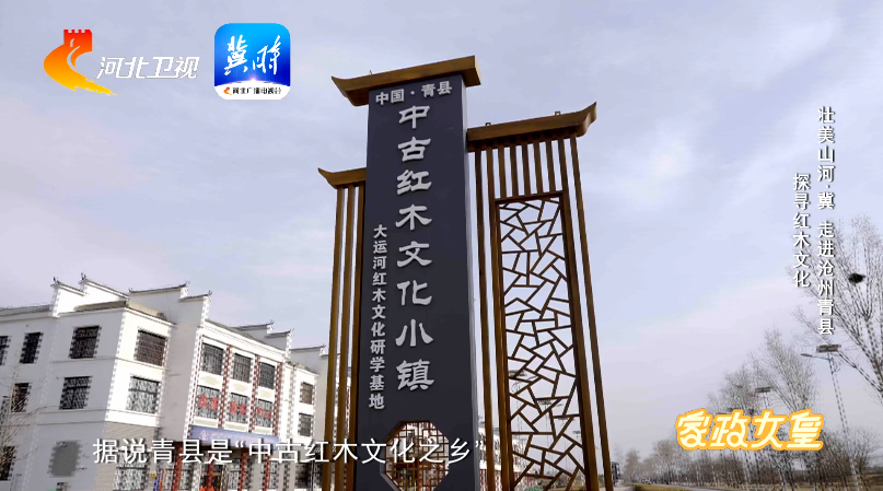 《壮美山河·冀》 走进沧州青县
了解“红木文化” 品地道“火锅鸡”
