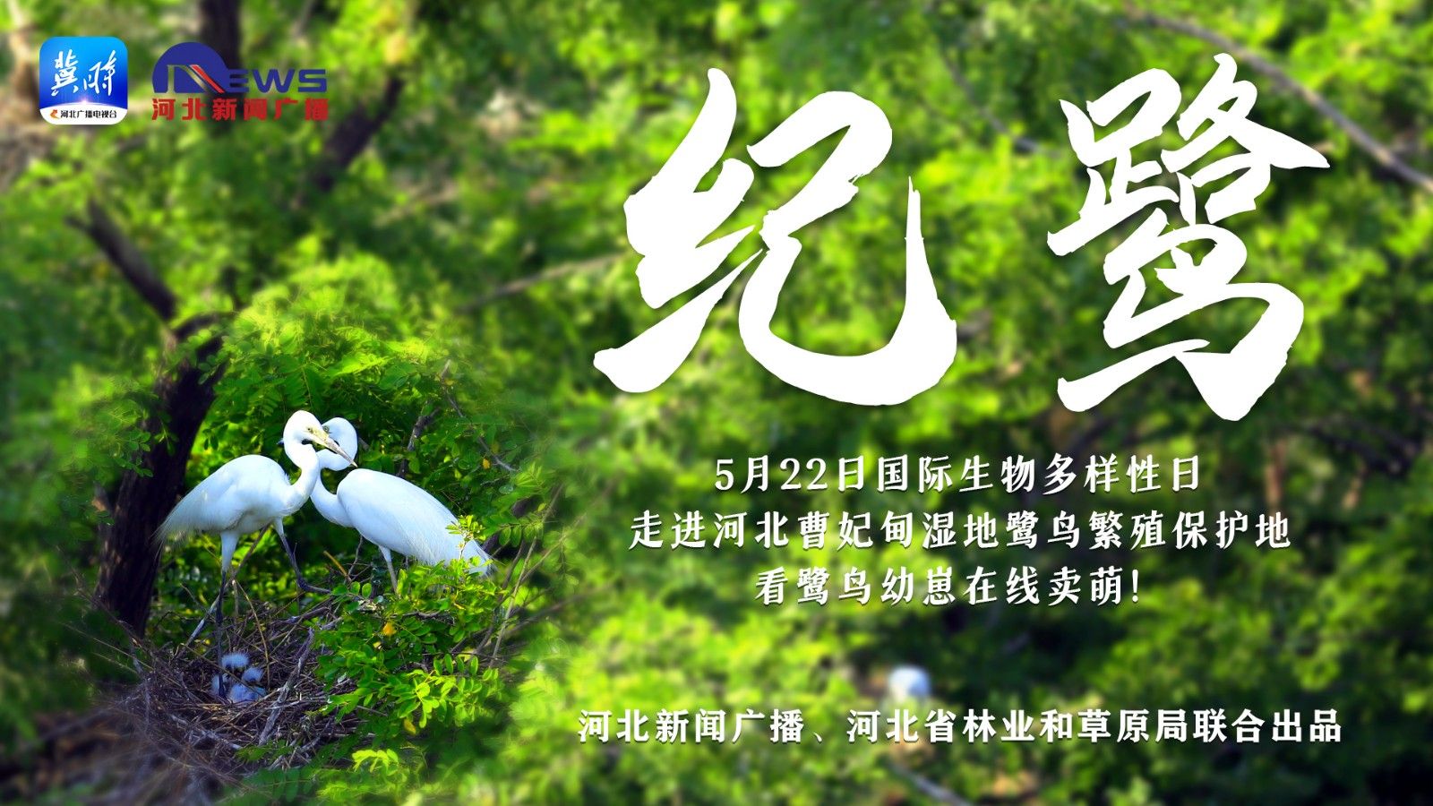 河北广播电视台