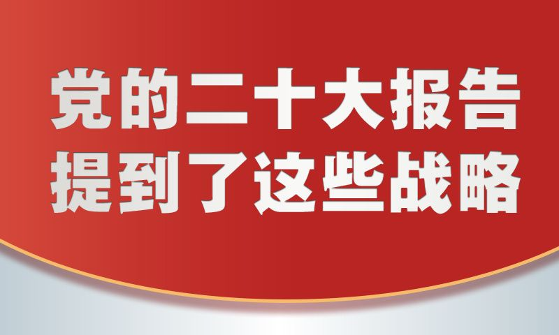 党的二十大报告，提到了这些战略！