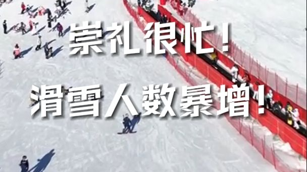 我在崇礼等你 | 崇礼很忙！滑雪人数暴增！