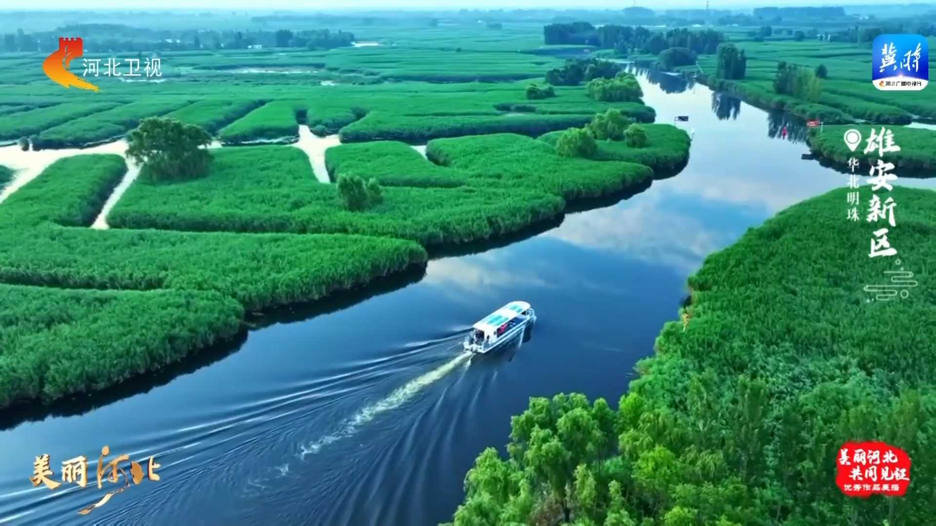 【美丽河北】这么近，那么美，周末到河北丨共赏蓝绿交织 水城共融的生态画卷