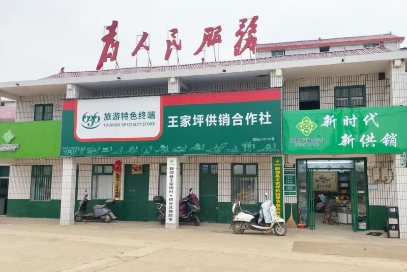 从“空心村”到打卡地——王家坪村的逆袭密码