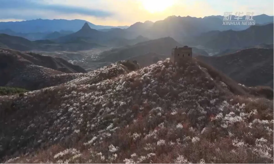 千城胜景丨河北秦皇岛：漫山花海映长城