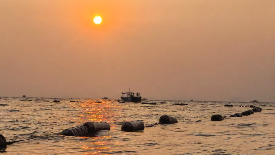 事业单位档案管理规范化建设的实践与优化研究
