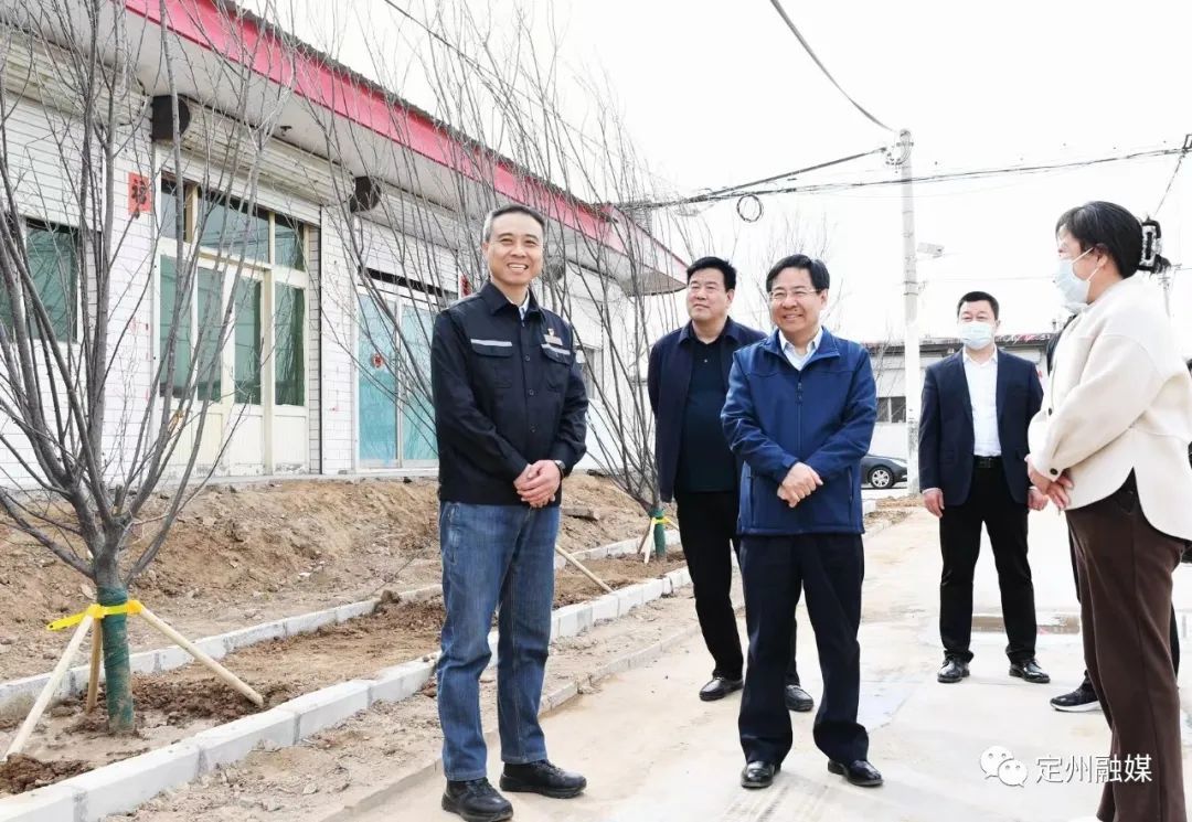 张涛调研国土绿化工作