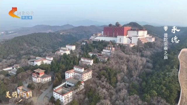 【微直播】美丽河北丨迎着春日的阳光 走进普陀宗乘之庙 慢赏传统建筑艺术之美 这么近 那么美 周末到河北