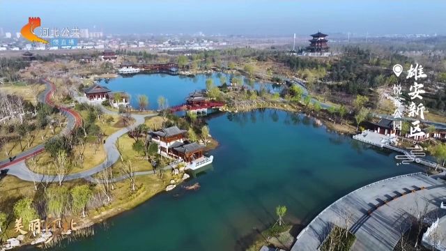 【微直播】美丽河北丨漫步未来之城雄安新区 品味清新晨韵 慢赏春光如画 这么近 那么美 周末到河北