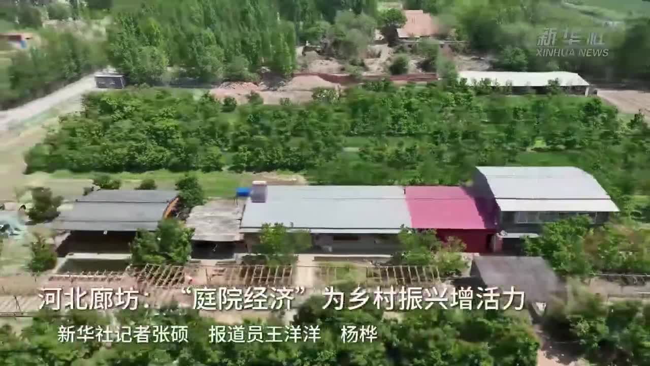 河北廊坊：“庭院经济”为乡村振兴增活力