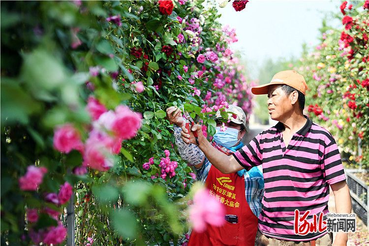 廊坊广阳：打造特色农业园区促致富