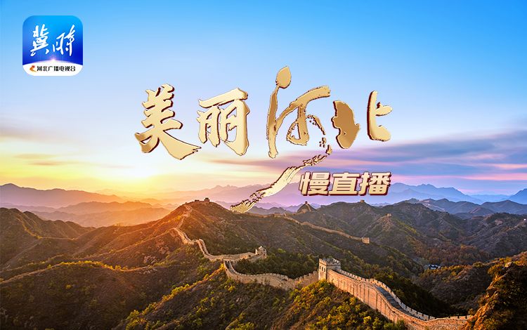《美丽河北》 慢直播·世界海洋日特别策划｜嗨！大海