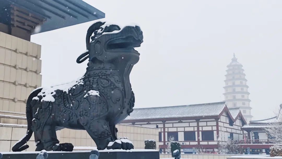 2024年，定州第一场雪究竟有多美？