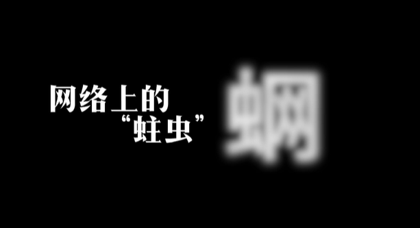 网络蛀虫——蛧