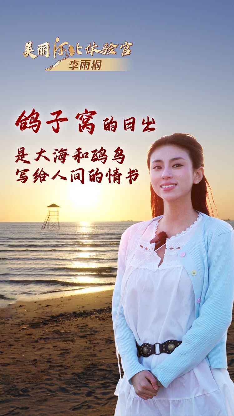 美丽河北体验官 | 鸽子窝的日出，是大海和鸥鸟写给人间的情书