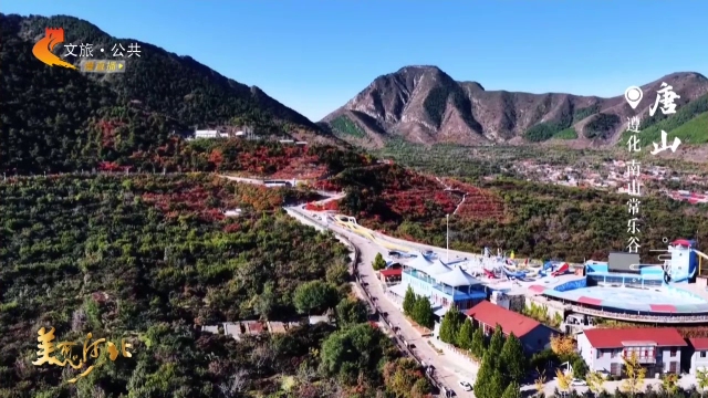 美丽河北慢直播•“冀”情山水丨南山常乐谷秋韵正浓！彩叶漫峰，登高处尽揽层林尽染 正午 2025/10/29#这么近，那么美，周末到河北