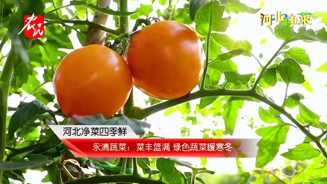 走进美丽乡村20250315
