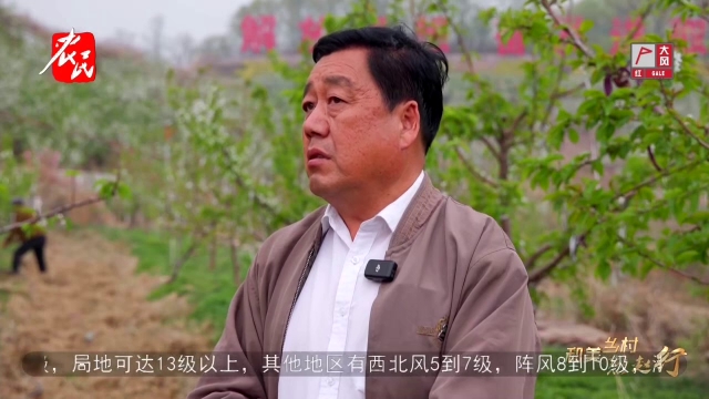 乡村振兴进行时20250413