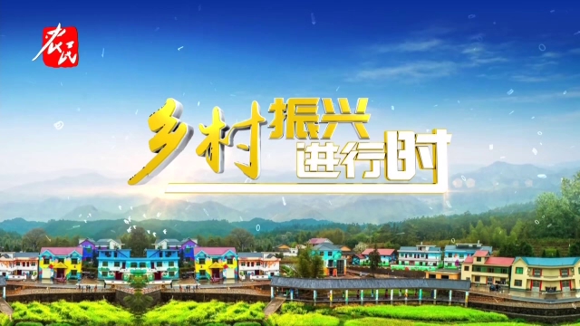 乡村振兴进行时20250420