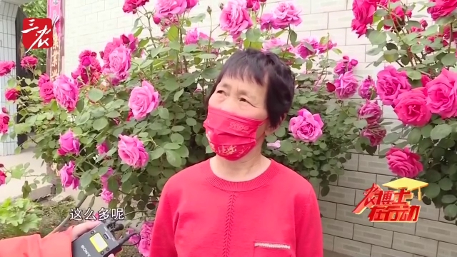 农博士在行动20250502