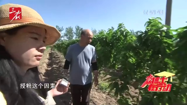 农博士在行动20250505