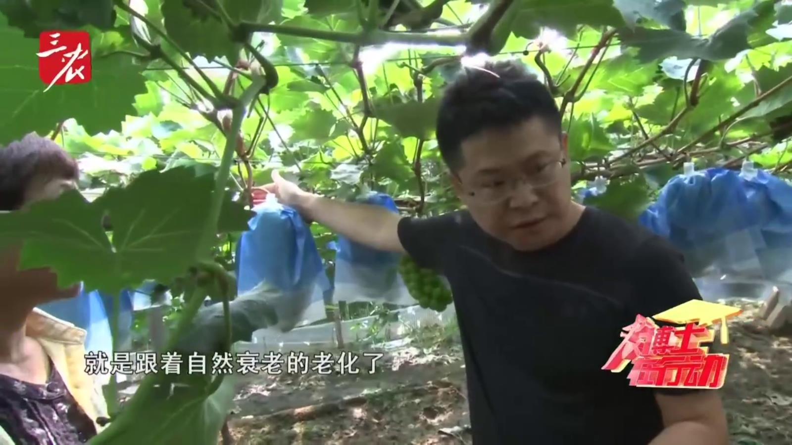 农博士在行动20250911