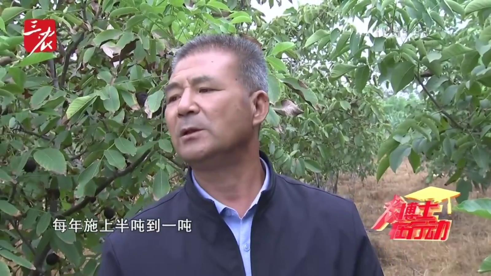 农博士在行动20251010