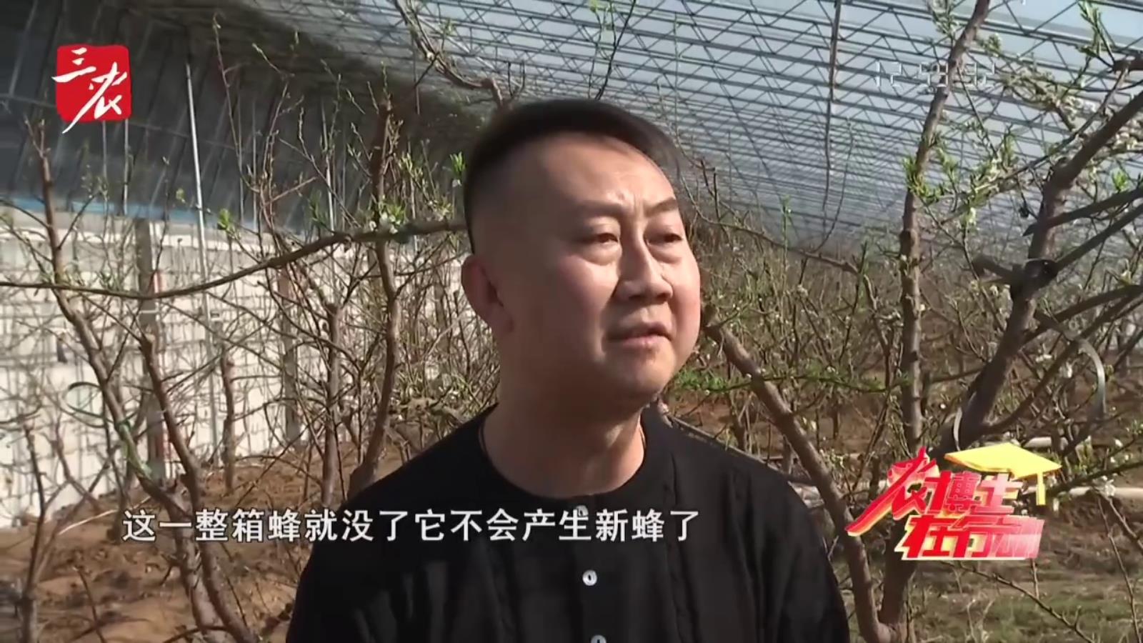 农博士在行动20260306